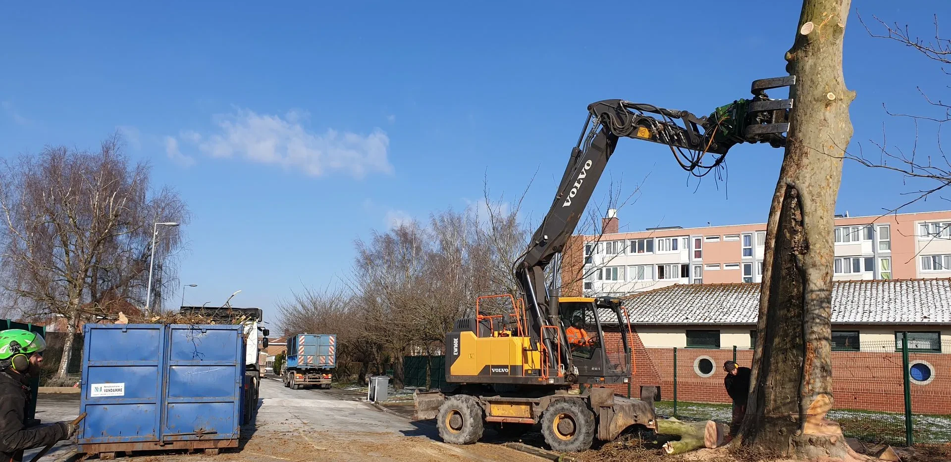 Démontage d'arbres